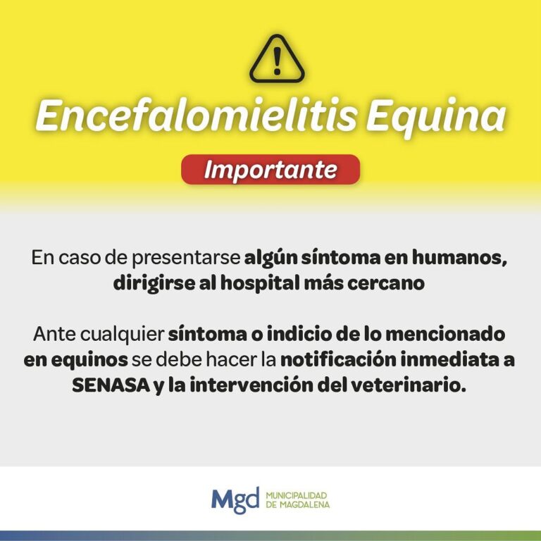 ENCEFALOMIELITIS EQUINA: CONTAGIO Y COMO PREVENIRLO