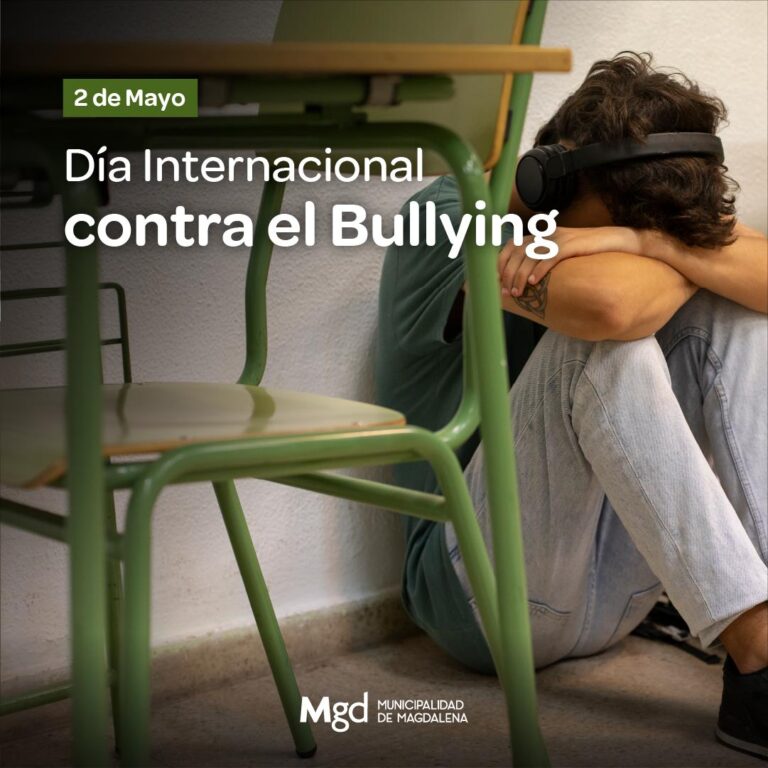 DIA INTERNACIONAL CONTRA EL BULLYING. TERMINEMOS YA.